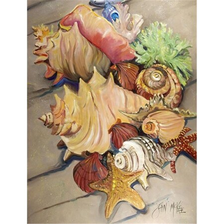 Carolines Treasures Shells Flag Canvas House Size JMK1188CHF